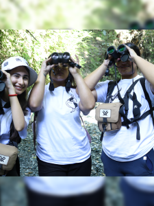 Base-mamíferos-_1_-01-01