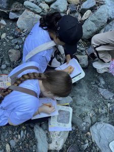 Base-mamíferos-_1_