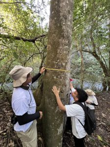 Base-plantas-monitoreo-participativo