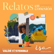 Boletin_128_Intercolombia_V4-06